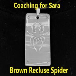 Brown Recluse Spider