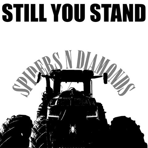 Still You Stand