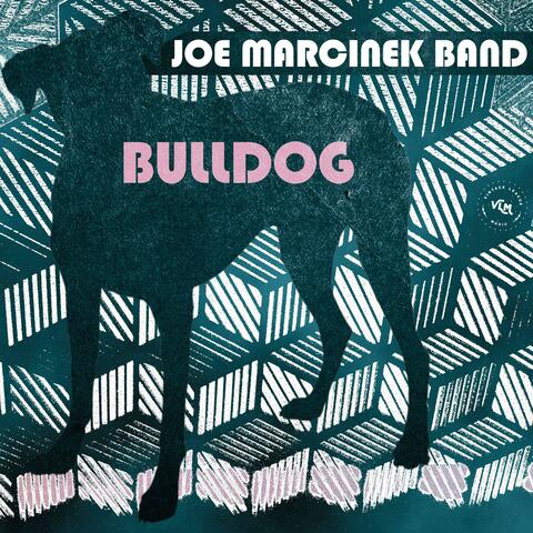 Bulldog