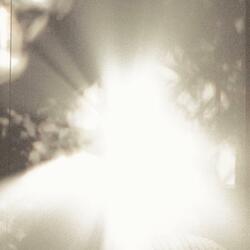 Dappled Light (Around)