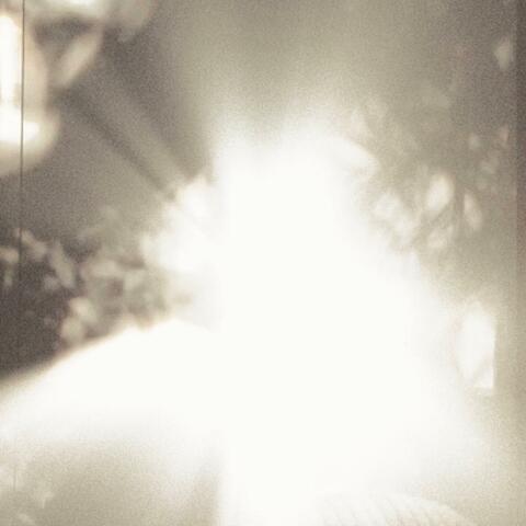 Dappled Light (Around)