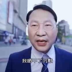 人类高质量主席