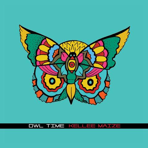 Owl Time
