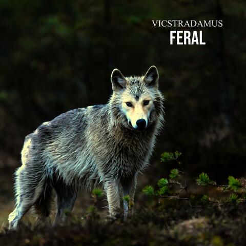 Feral