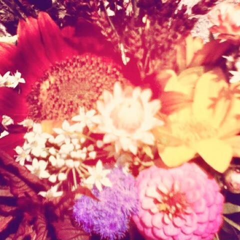 these things are beautiful you are these things