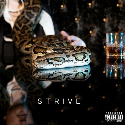 STRIVE