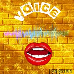 Voice