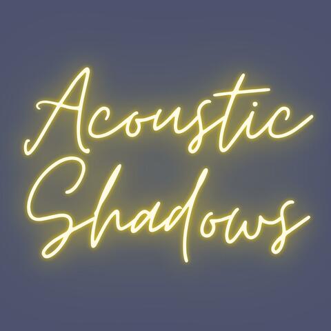 Acoustic Shadows