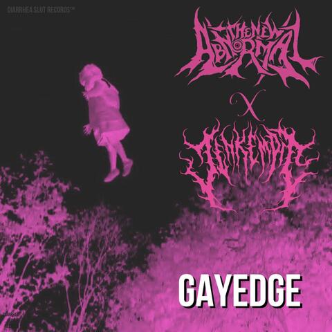 GAYEDGE Split