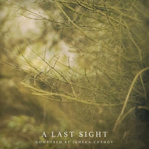 A Last Sight