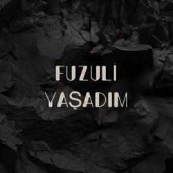 Fuzuli Yaşadım
