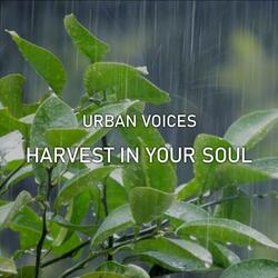 Harvest In Your Soul