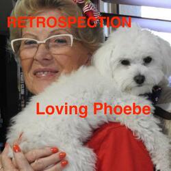 Loving Phoebe