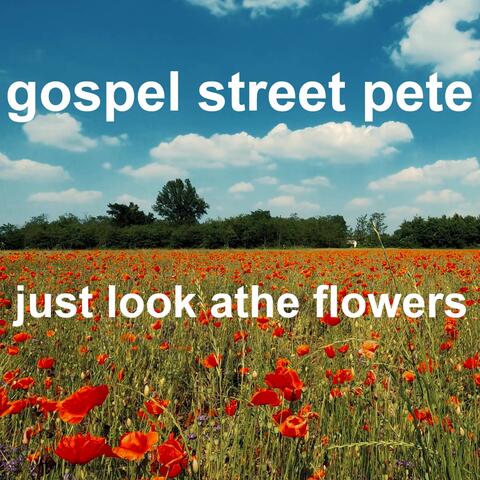 Just look at the flowers