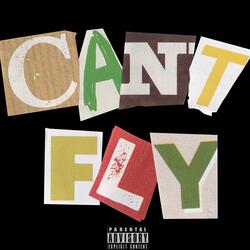 c a n t . f l y
