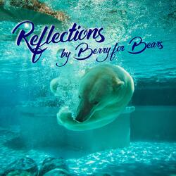 Reflections