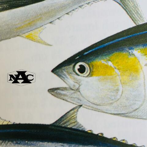 Tuna
