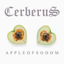 Apple of Sodom