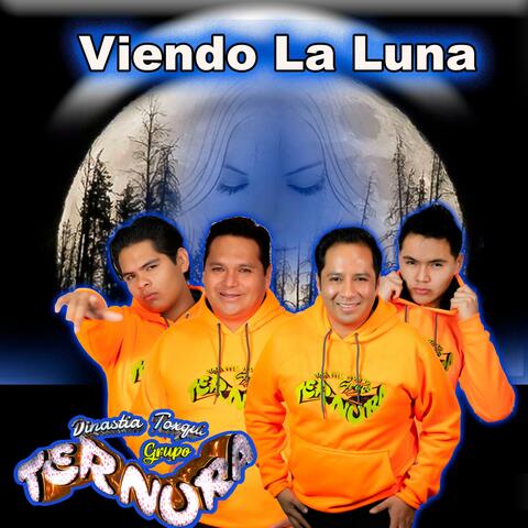 Viendo La Luna