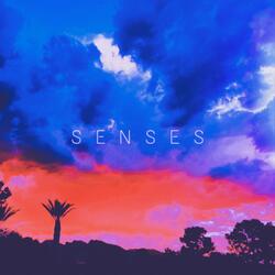 Senses