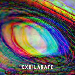 Exhilarate (feat. George Morden & Luke Barratt)
