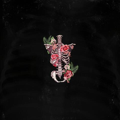 Hopeless Deadmantic