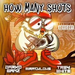 How Many Shots (feat. Darko Banz & Trey White)