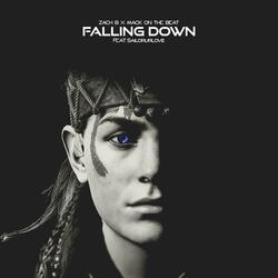 Falling Down (feat. Sailorurlove)