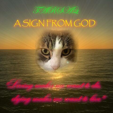 A Sign From God: Living Makes Me Want To Die, Dying Makes Me Want To Live