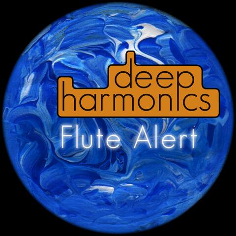 Deep Harmonics