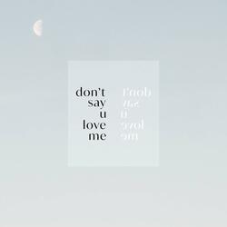 don't say u love me