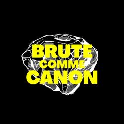 Brut comme canon (feat. Ana Ford)