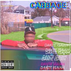 Cabbage