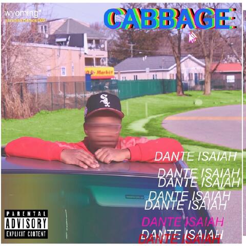 Cabbage
