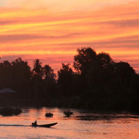 Renewable Revolution