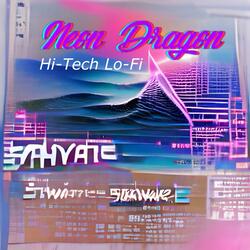 Hi-Tech Lo-Fi