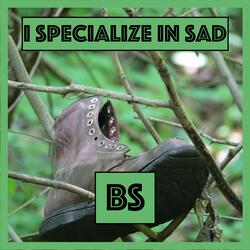 BS