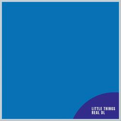 Little Things