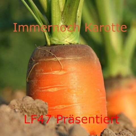 Immernoch Karotte