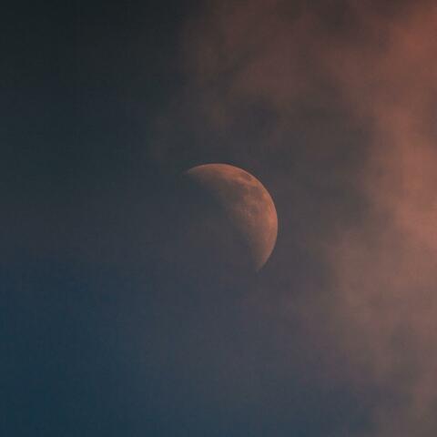 to the moon