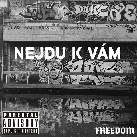 Nejdu k vám