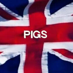 Pigs