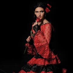 Gitanote (Telenovela Amor Gitano)