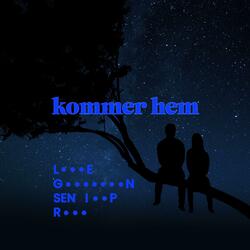Kommer hem