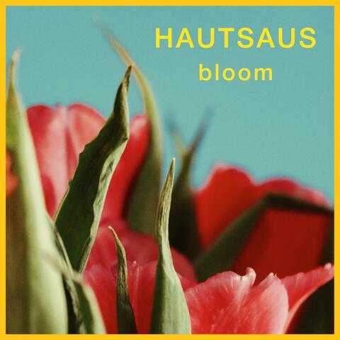 Bloom