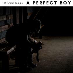 A Perfect Boy