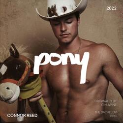 Pony