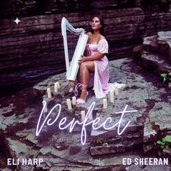 Perfect