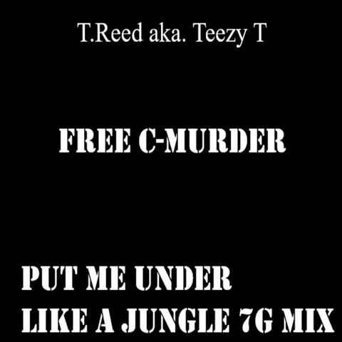 Put Me Under