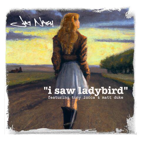 I Saw Ladybird (feat. TFDI, Tony Lucca, Matt Duke & Val McCallum)